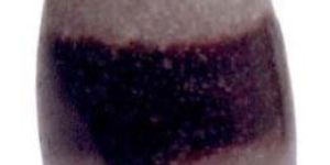 Shivlingstone Pendant