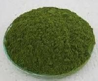 Mint Leaves Powder