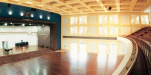 Auditorium Wooden Floorings