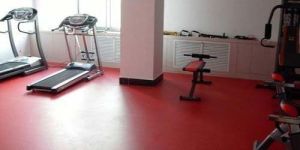 Gymnasium PVC Synthetic Floorings