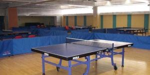 Table Tennis Wooden Floorings