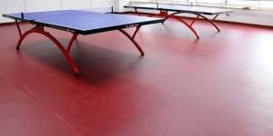 Table Tennis PVC Synthetic Floorings