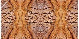 rainforest/bidasar marble