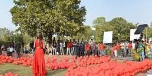 Film Production House