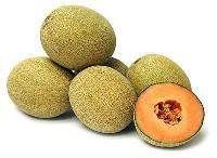 Muskmelon
