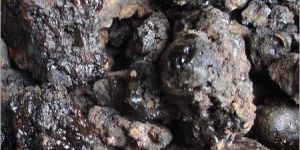 Shilajit Stone