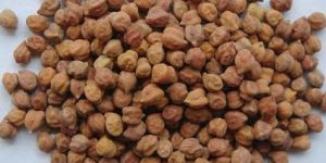 Black Chickpeas