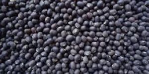 Black Urad Dal