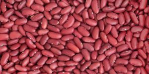 Red Kidney Beans