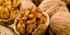 Walnut Kernels