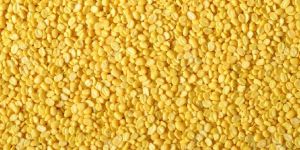 Yellow Moong Dal