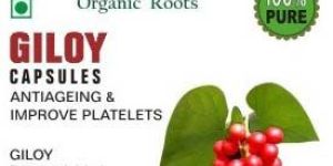 Giloy Capsules