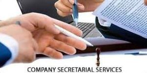 Company Secretarial Services