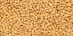 Fenugreek Seeds