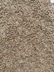Ajwain Seeds