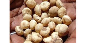 Nirmali Strychnos Seeds