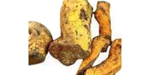 Salacia Reticulata Roots