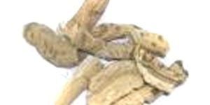 Sell Nisoth (Operculina Turpethum) Roots