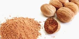 Nutmeg