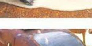 Stanvac Bulk Rust & Scale Removers