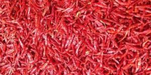 Dried Red Chillli