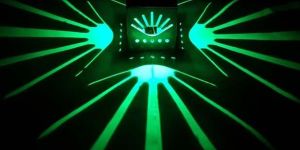 DecorAdda PALM GREEN 1W LED Wall Ceiling Light