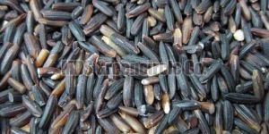 Black Rice