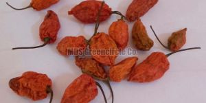 King Chilli Pod