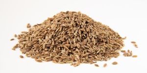 Dill Seeds