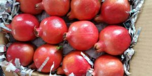 Fresh Pomegranate