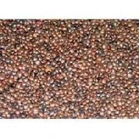 Masoor Pulses