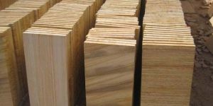 Teakwood Sandstone