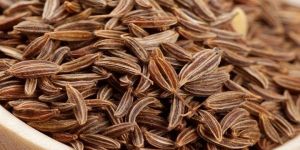 Cumin