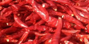 Dry Red Chillies
