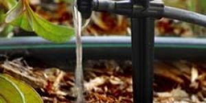Drip Irrigation System