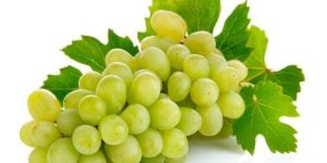 Fresh Grapes