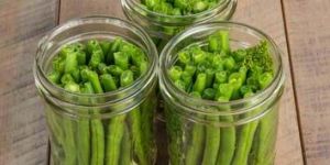 Canned French Beans
