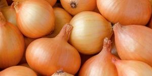 Fresh Brown Onion