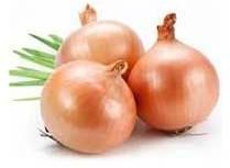Fresh Onion