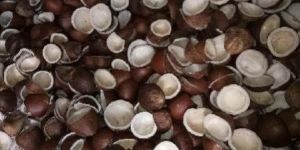 Coconut Copra