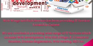 Website Development Services
