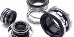 Water Pump Seals