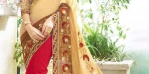 Designer Sarees