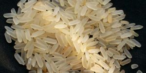 Non Basmati Rice