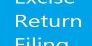 Excise Return Filing Services