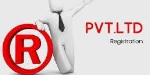 Private Limited Company Registration Services