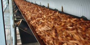 Bulk Handling Conveyors