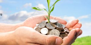 Nidhi Company Software