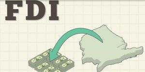 Foreign Direct Investment Consultants