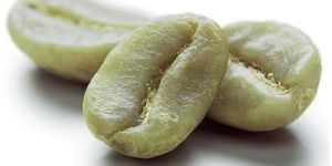 Green Coffee Seeds